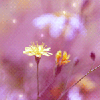 Mary-Ann